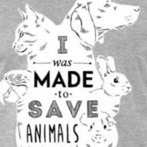 Meet your Posher, Abbey - Picture 1 of 1